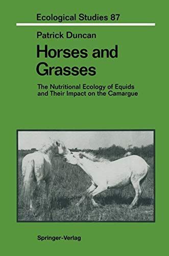 Horses and Grasses