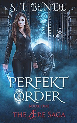 Perfekt Order (The Ære Saga Book 1)