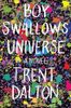 Boy Swallows Universe