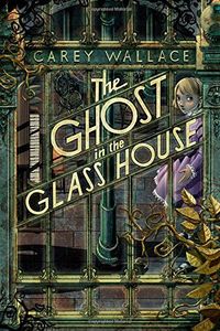 The Ghost in the Glass House