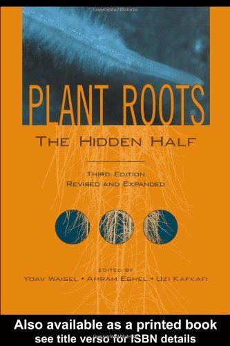 Plant Roots