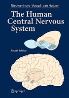 The Human Central Nervous System