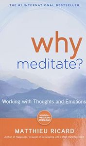 Why Meditate?