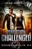 Perfection Challenged