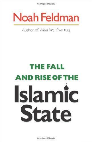 The Fall and Rise of the Islamic State