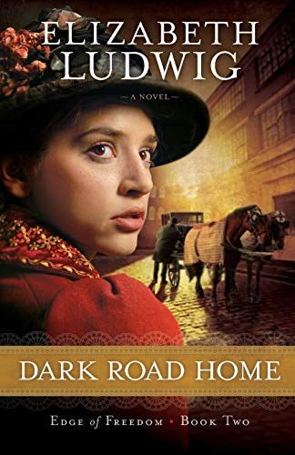 Dark Road Home (Edge of Freedom Book #2)