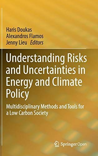 Understanding Risks and Uncertainties in Energy and Climate Policy