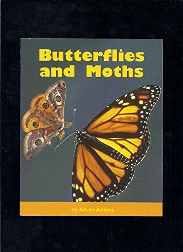 Butterflies and Moths