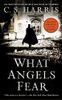 What Angels Fear