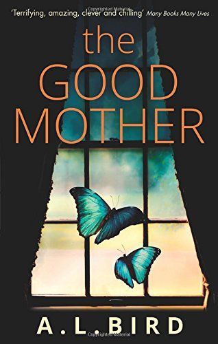 The Good Mother: A tense psychological thriller with a shocking twist