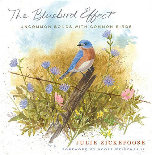 The Bluebird Effect