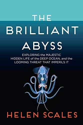 The Brilliant Abyss