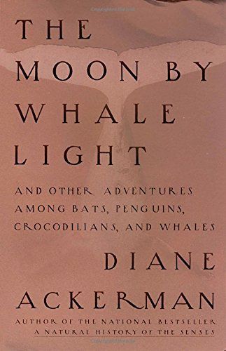 Moon By Whale Light
