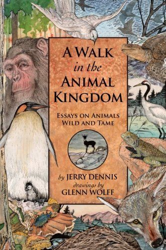 A Walk in the Animal Kingdom