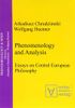 Phenomenology & Analysis
