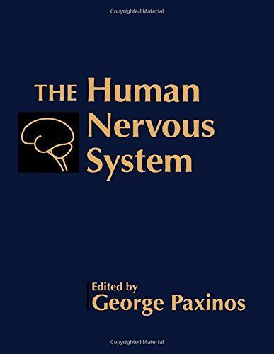 The Human Nervous System