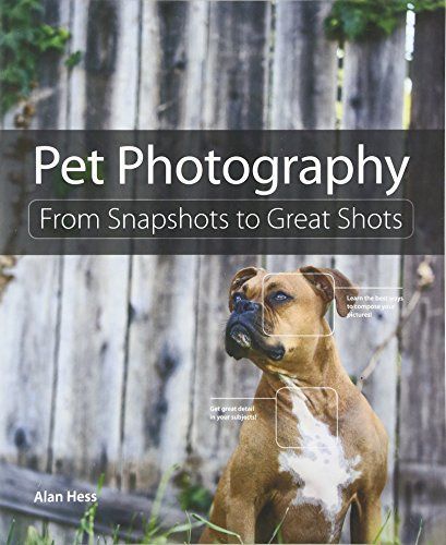 Pet Photography