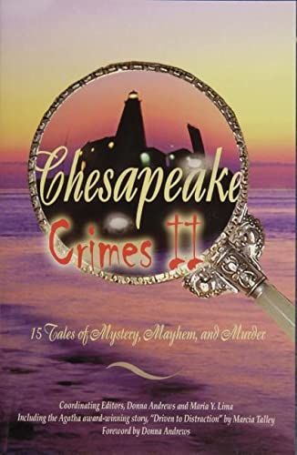 Chesapeake Crimes: Storm Warning