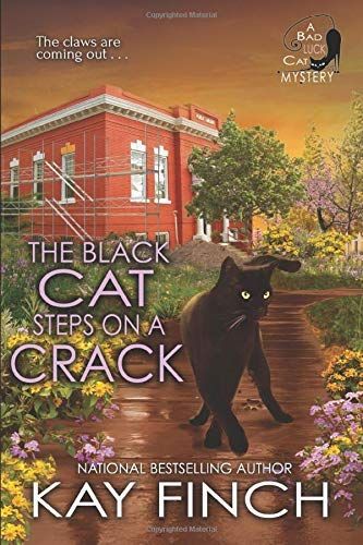 The Black Cat Steps on a Crack