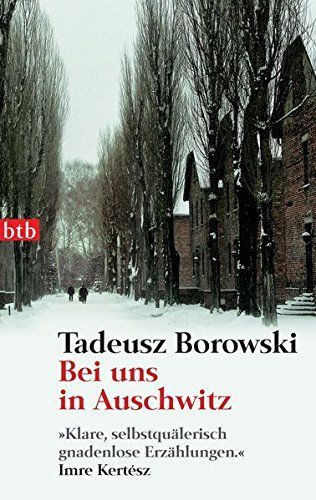 Here in Our Auschwitz and Other Stories