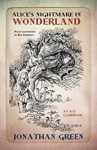 Alice im Düsterland - Ein Fantasy-Spielbuch