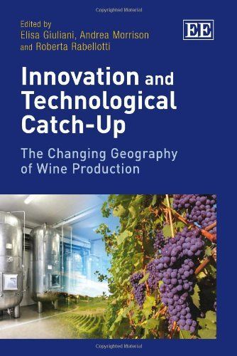 Innovation and Technological Catch-Up