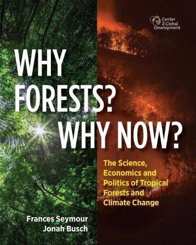 Why Forests? Why Now?