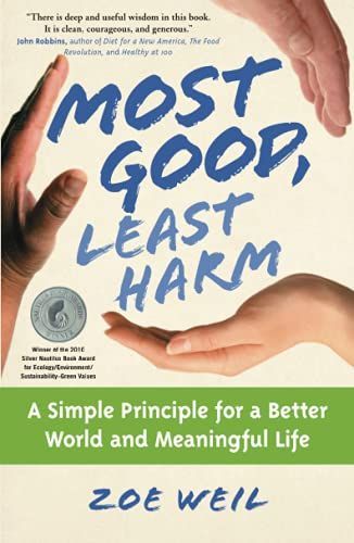 Most Good, Least Harm