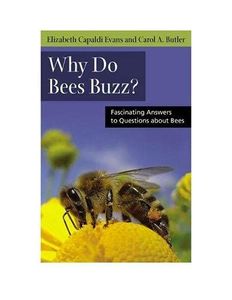 Why Do Bees Buzz?
