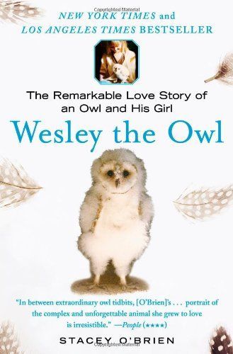 Wesley the Owl