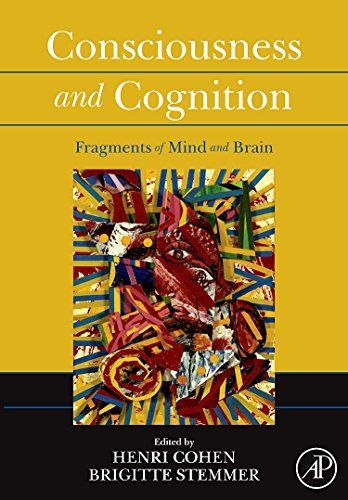 Consciousness and Cognition