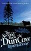 The Second Book of the Dun Cow