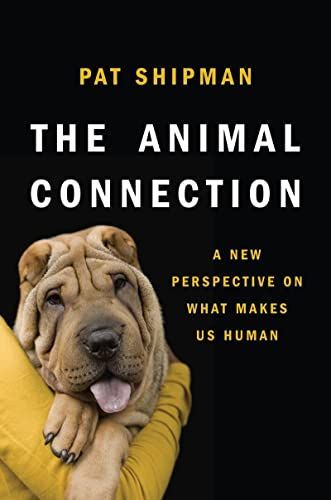 The Animal Connection: A New Perspective on What Makes Us Human