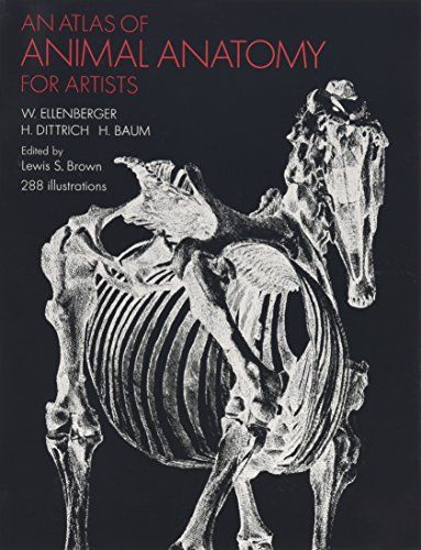 An Atlas of Animal Anatomy for Artists