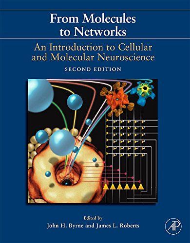 From Molecules to Networks