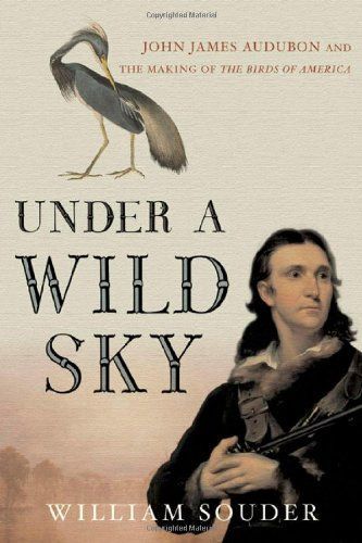 Under a Wild Sky