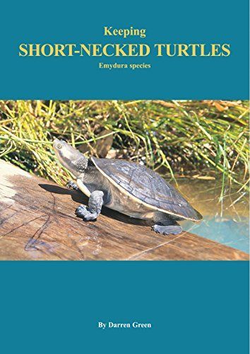 Keeping Short-necked Turtles Emydura species