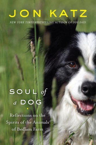 Soul of a Dog