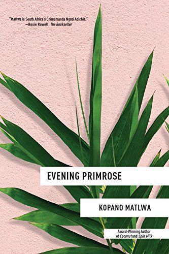 Evening Primrose: a heart-wrenching novel for our times