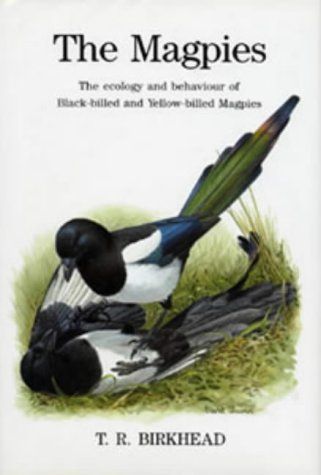 The Magpies: The Ecology and Behaviour of Black-Billed and Yellow-Billed Magpies
