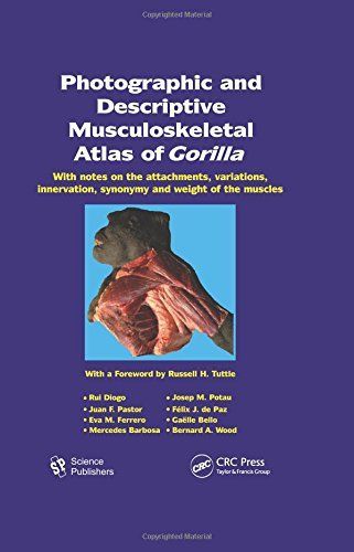 Photographic and Descriptive Musculoskeletal Atlas of Gorilla