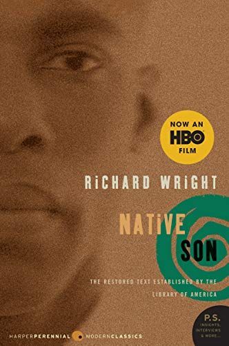 Native Son (MAXNotes Literature Guides)