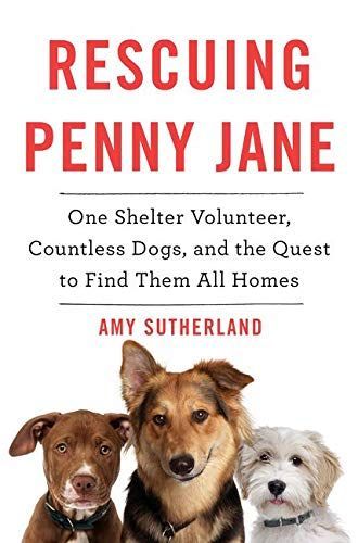 Rescuing Penny Jane