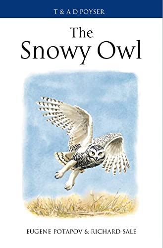 The Snowy Owl