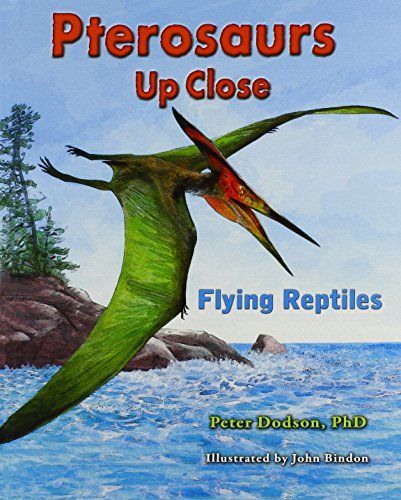 Pterosaurs Up Close