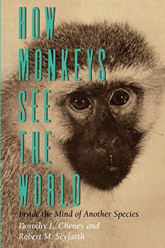 How Monkeys See the World