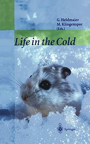 Life in the Cold