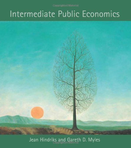 Intermediate Public Economics