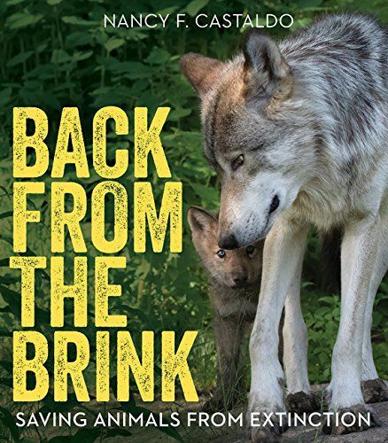 The cover of the book 'Back from the Brink'