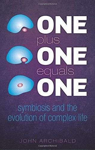 One Plus One Equals One